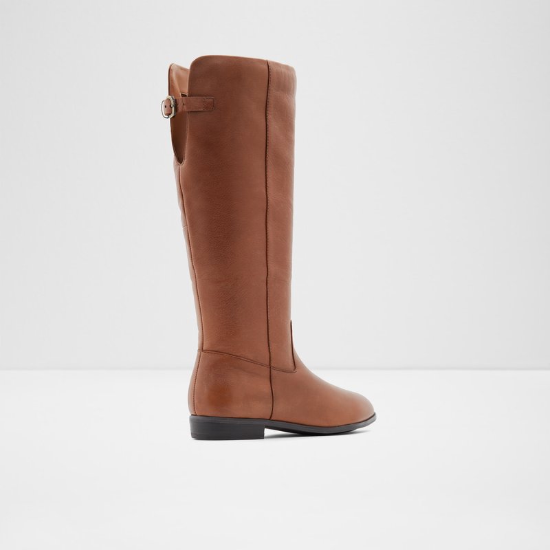 Aldo Keesha-wwc Knee High Boots Donna Marroni | IMCSLBU-50