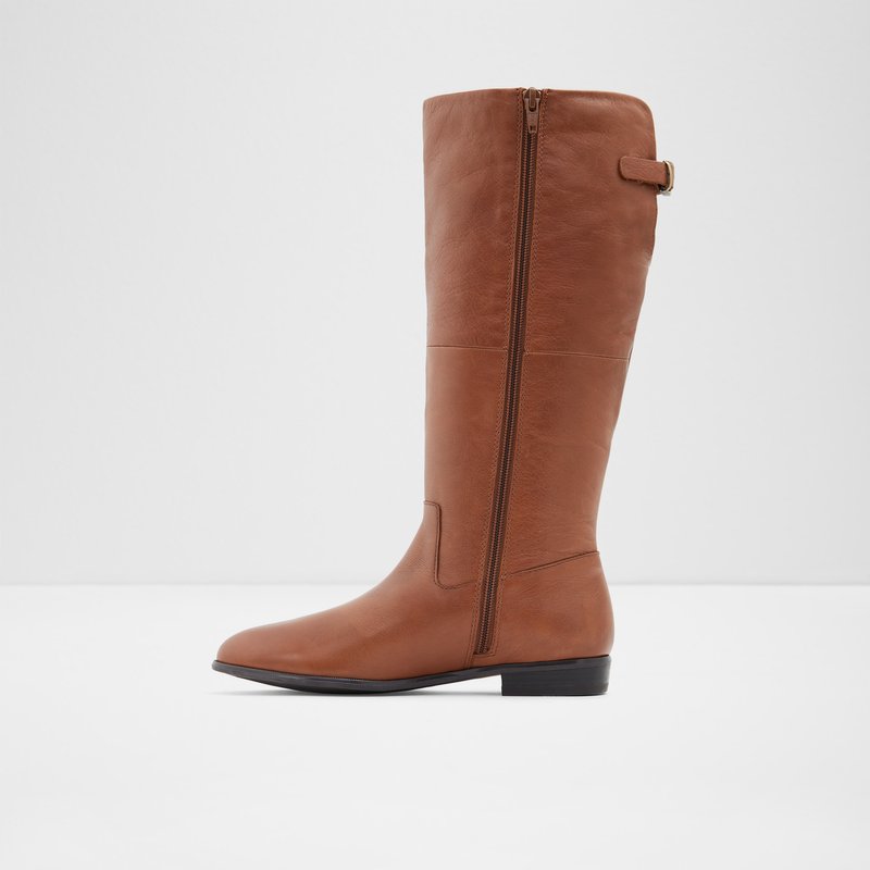 Aldo Keesha-wwc Knee High Boots Donna Marroni | IMCSLBU-50