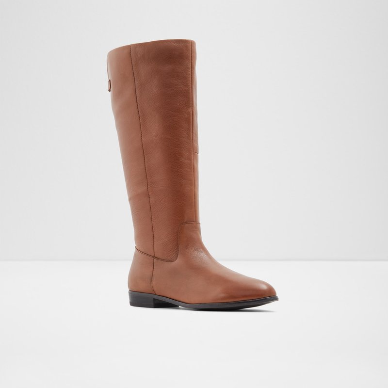 Aldo Keesha-wwc Knee High Boots Donna Marroni | IMCSLBU-50