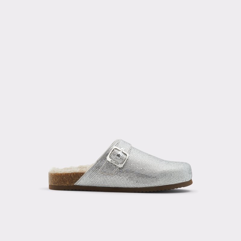 Aldo Wfh Ballerinas Donna Argento | WNEATYH-57